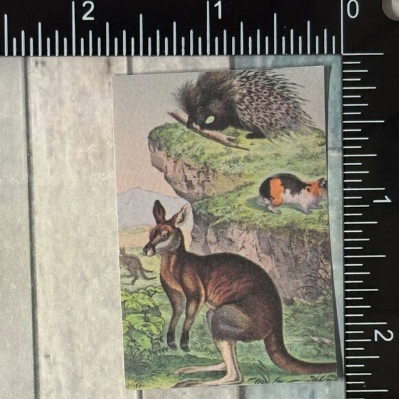 ๐10/$10๐ Classic Grassland Animals Reusable Washi Sticker Decal - Picture 1 of 1